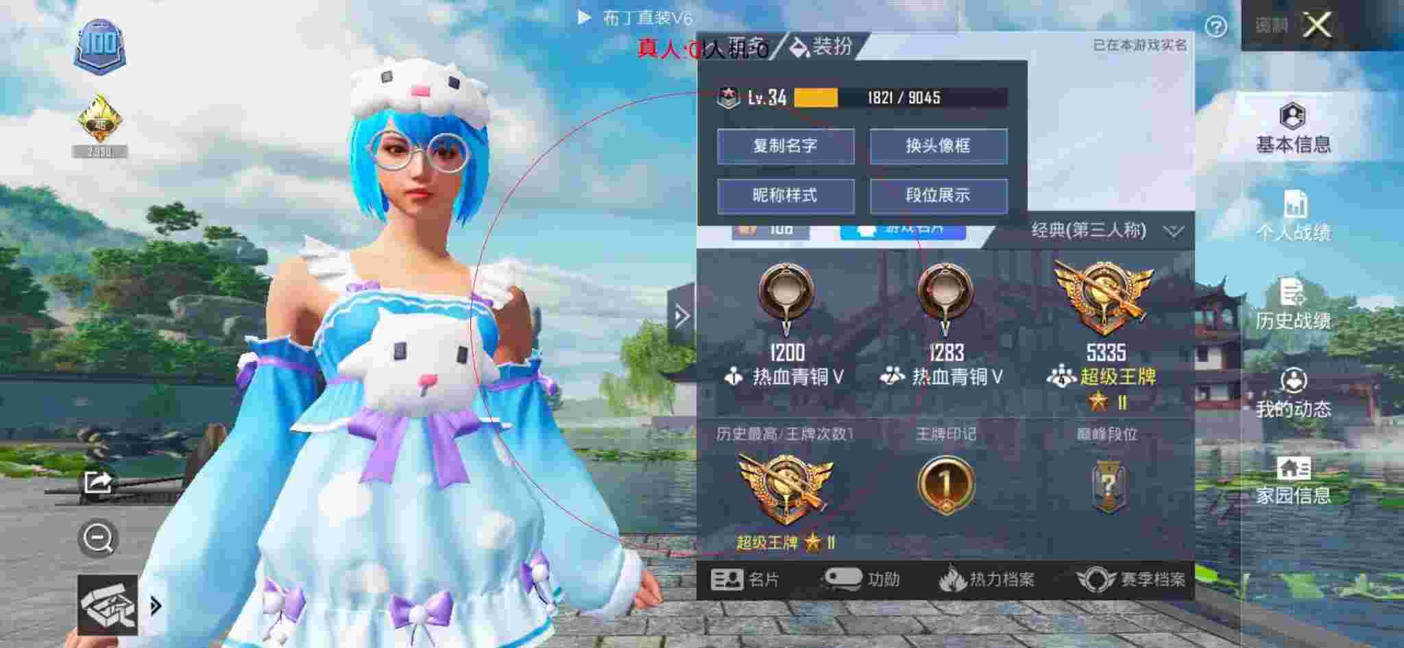 和平精英布丁直装透视 - 和平精英电脑版辅助软件下载辅助预览图